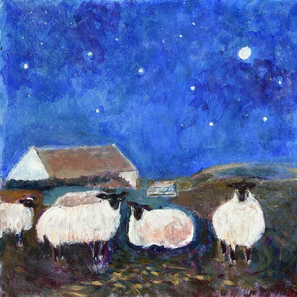 Sheep Under the Stars